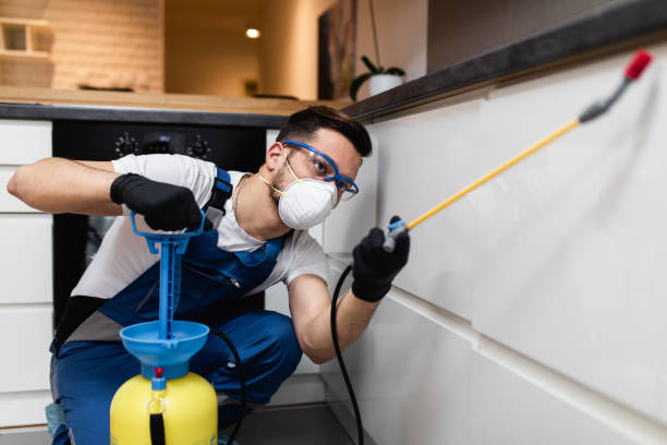 Best Termite Control Services  in Choccolocco, AL