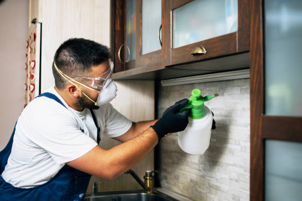 Professional Pest Control in Choccolocco, AL