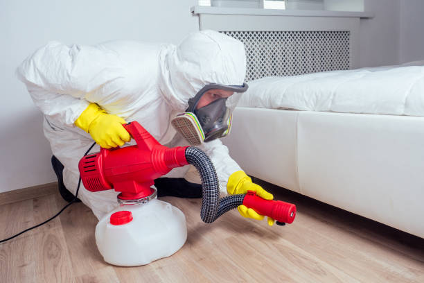 Best Local Pest Control Services  in Choccolocco, AL