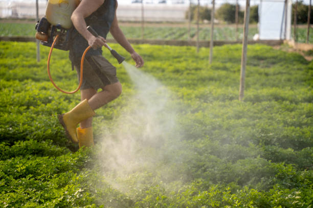 Best Pest Control Near Me  in Choccolocco, AL