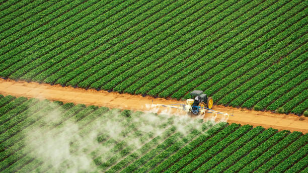 Best Commercial Pest Control Services  in Choccolocco, AL