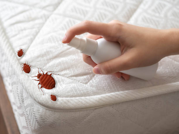 Pest Prevention Services in Choccolocco, AL