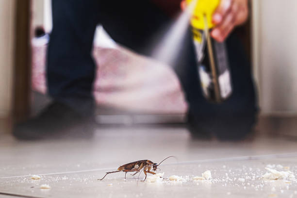 Best Pest Prevention Services  in Choccolocco, AL