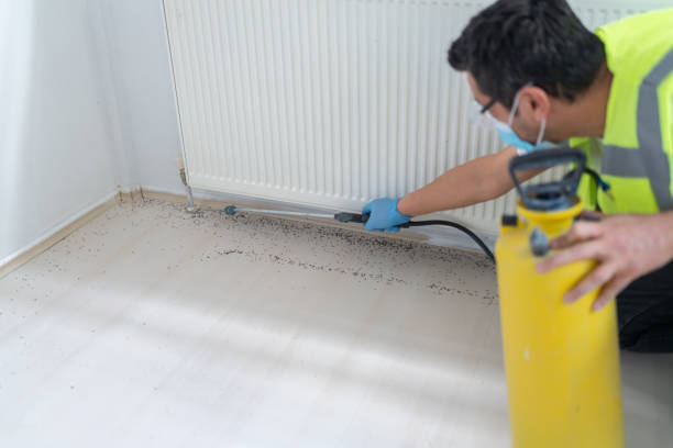 Best Residential Pest Control  in Choccolocco, AL