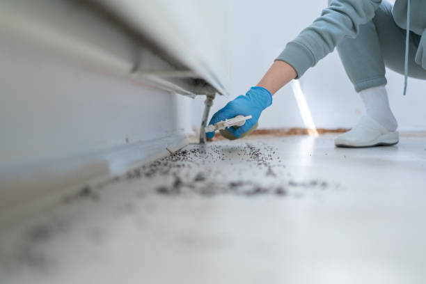 Best Affordable Pest Control Services  in Choccolocco, AL