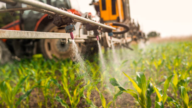 Professional Pest Control in Choccolocco, AL